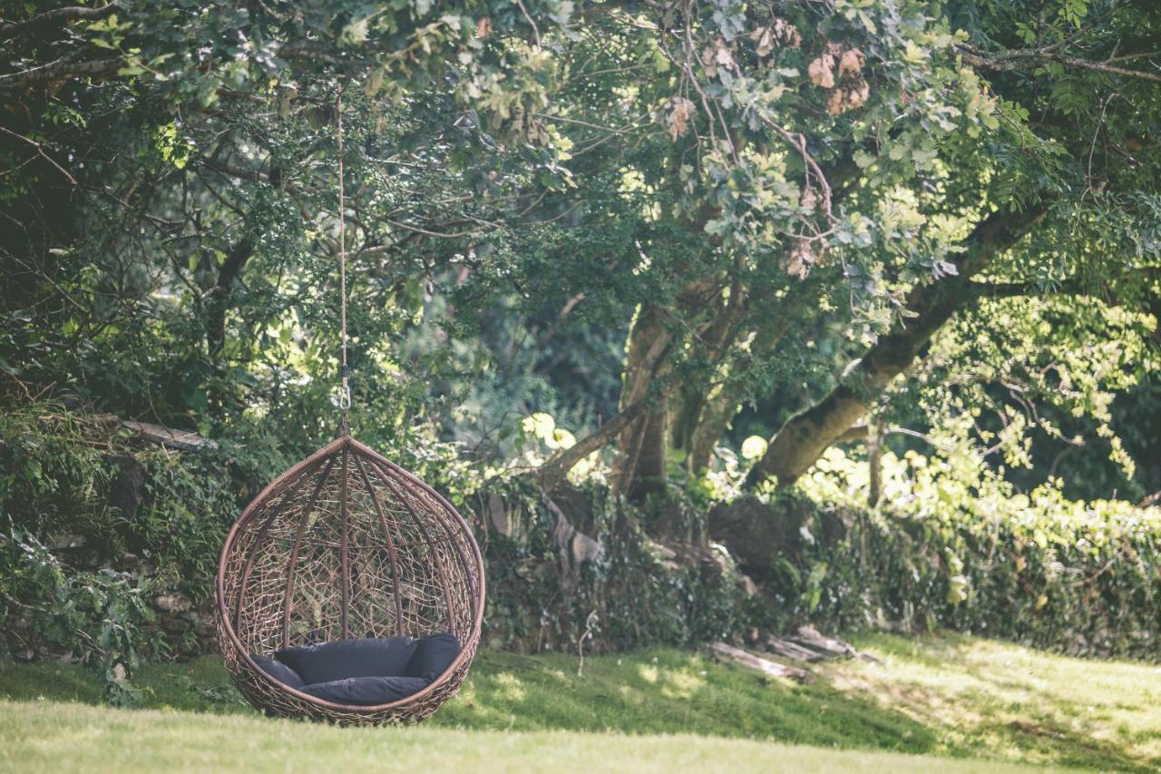 Boringdon Hall Hotel And Spa Plymouth Luaran gambar Egg chair